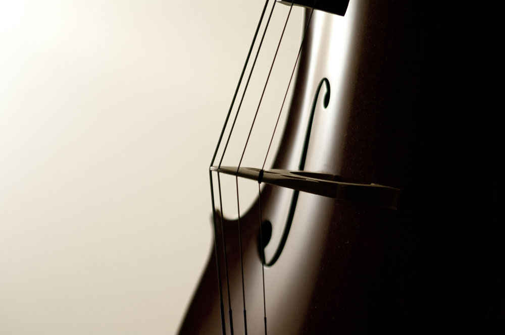 Cello Bridge Closeup, Image supplied by the musician.