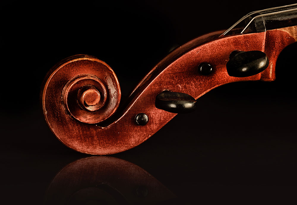 Cello Scroll Closeup. Image supplied by the musician.